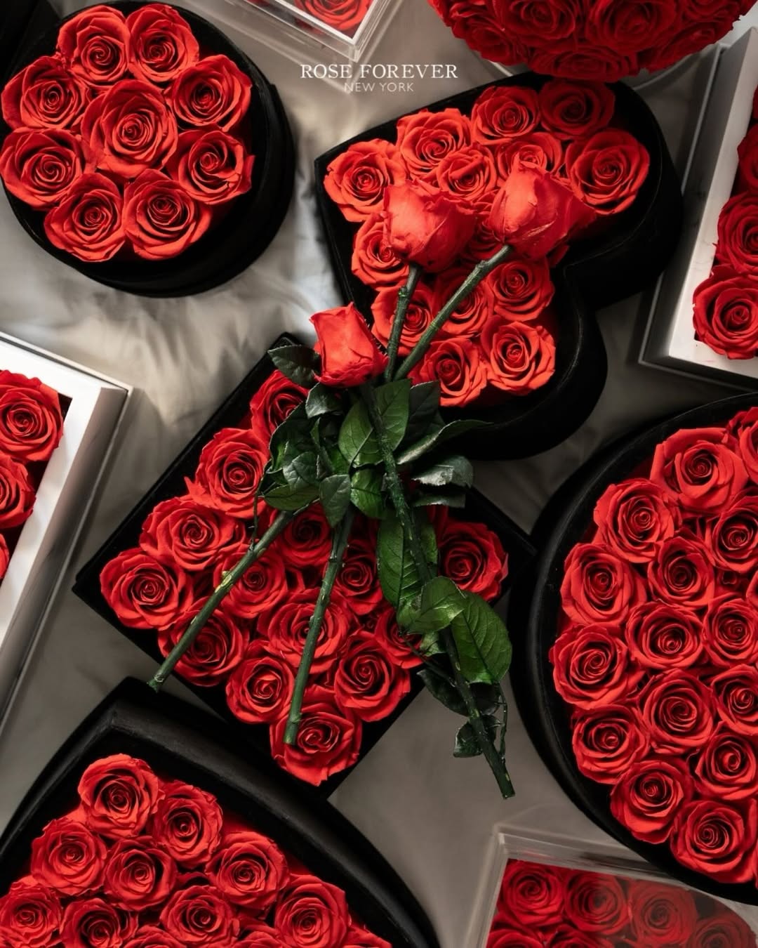 Rose Forever